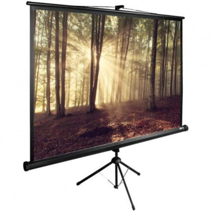 Экран CACTUS TRIEXPERT CS-PSTE-180х135-BK, 89 ", 4:3, напольный, 180х135 см. CS-PSTE-180KH135-BK Экран CACTUS TRIEXPERT CS-PSTE-180х135-BK, 89 ", 4:3, напольный, 180х135 см. CS-PSTE-180KH135-BK