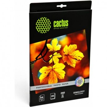 Фотобумага CACTUS Prof CS-SGA426020, формат A4, 260г/м2 Фотобумага CACTUS Prof CS-SGA426020, формат A4, 260г/м2